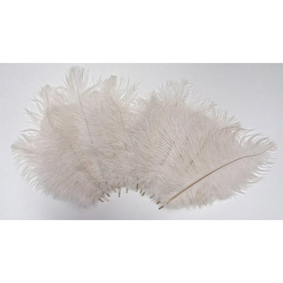 Silver Gray Ostrich feathers 8-12 inch size per SIX (6)
