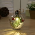 thumbnail image 2 of Bombillas transparentes para decoración de árbol de Navidad, decoraciones LED para fiestas Tipo 5, 2 of 8