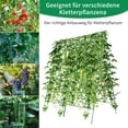 thumbnail image 6 of Slsy Foldable Cucumber Trellis, 2 Pack A-Frame Trellis Outdoor Garden Trellis for Climbing Plants Vegetables Flowers, Steel Plant Support Trellis Plant Climbing Trellis, Black, 6 of 9