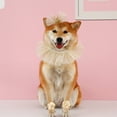 thumbnail image 6 of Furry Princess Birthday Tiara and Bow Set for Cats & Dogs Sparkling Pet Bib & Crown, 6 of 6