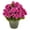 Other, variant on Nearly Natural 17" Plastic and Polyester Geranium Artificial Plant UV Resistant (Indoor/Outdoor), Pink