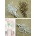thumbnail image 5 of Small Dried Tree Artificial Branch Plant DIY Craft Wedding Party Home Decor-White, 5 of 8
