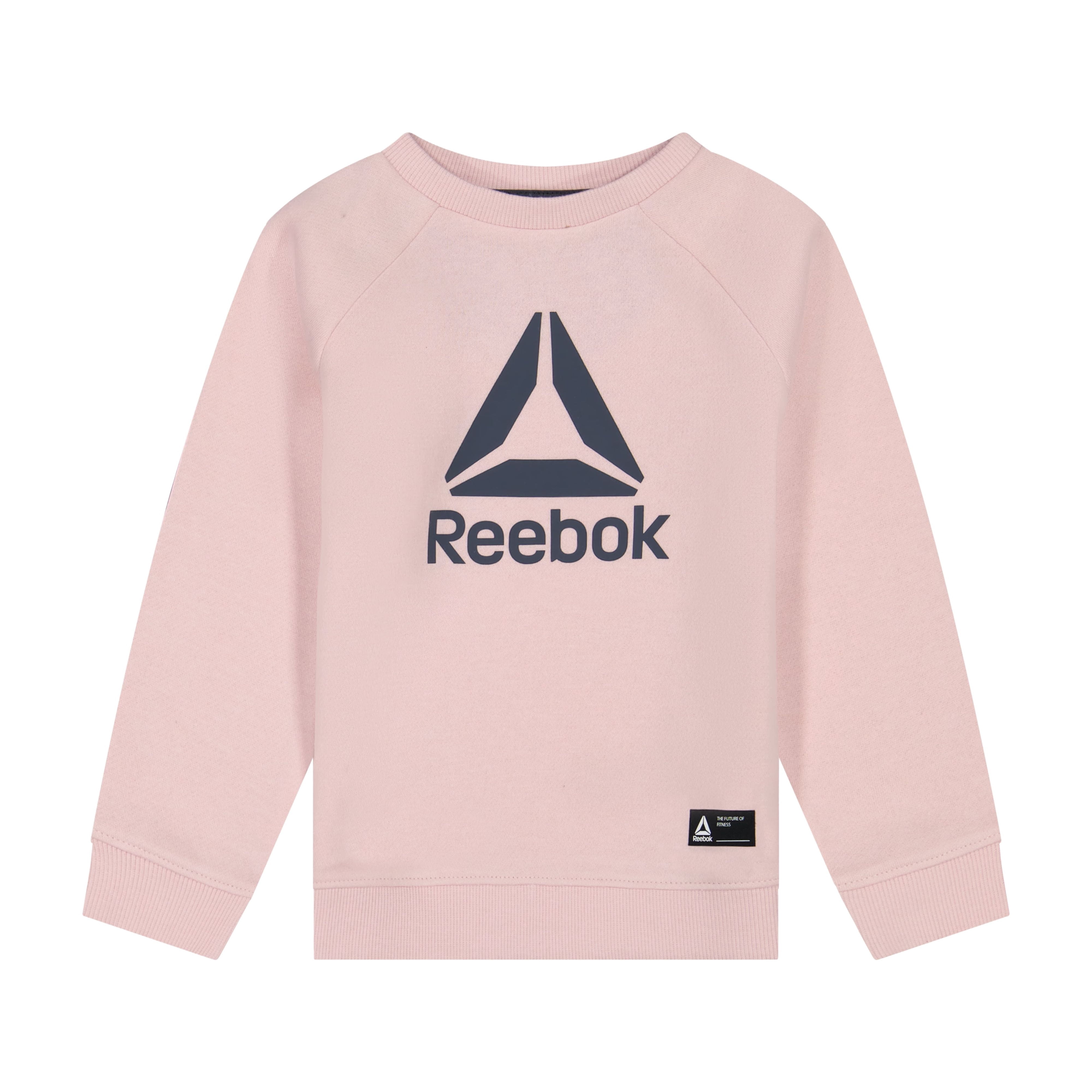 Reebok Toddler Play Hard Crew and Jogger Colorblock Set, 2-Piece, Sizes 12M-5T