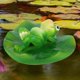 thumbnail image 5 of Estatuilla de decoración de jardín, bañera, Animal flotante, estanque de piscina, 5 of 8