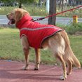thumbnail image 4 of Waterproof Windproof Dog Coat for Large Breeds - Reflective Thickened Warm Cotton & Polyester Jacket with Sizes 2XL-6XL (Red/Blue Available), 4 of 6