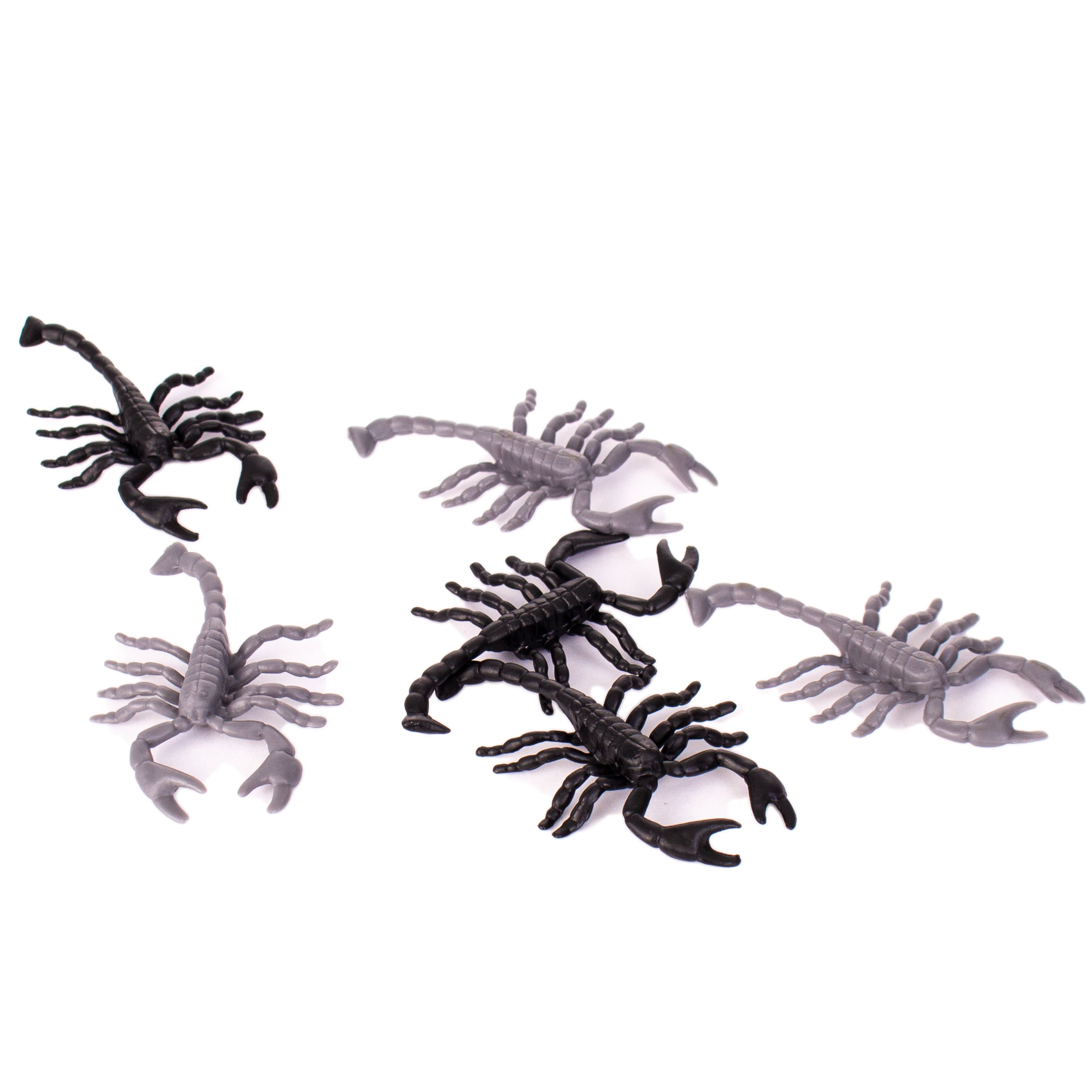 Insects Creepy Crawling Scorpions 2.75