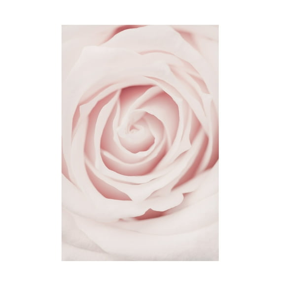 1x Studio III 'Pink Rose No 02' Canvas Art