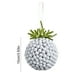 thumbnail image 3 of Bolas decorativas navideñas de plástico 10 cm para árbol, coloridas, duraderas, con anillo metálico y acabado brillante, 3 of 6