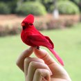 thumbnail image 4 of Sugeryy 12Pcs Artificial Birds Lovely Cardinal Clip On Christmas Tree Decoration Foam and Velvet Birds Festival Party Decor Red Birds, 4 of 4