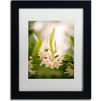 Trademark Fine Art 'Floral Tranquility' Canvas Art by PIPA Fine Art, White Matte, Black Frame