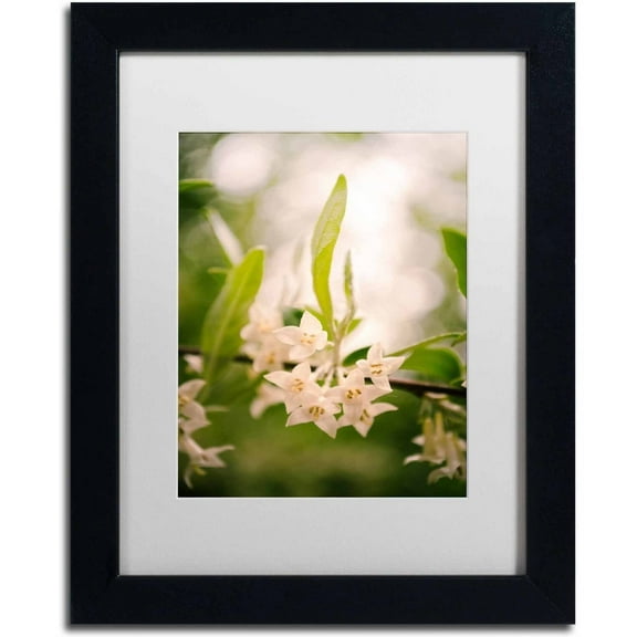 Trademark Fine Art 'Floral Tranquility' Canvas Art by PIPA Fine Art, White Matte, Black Frame