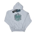 thumbnail image 1 of Harry Potter Mens Slytherin Cotton Hoodie, 1 of 5