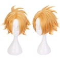 thumbnail image 3 of Wig Heat Resistant Synthetic for Anime-Fans Cosplay Kaminari Denki, 3 of 3