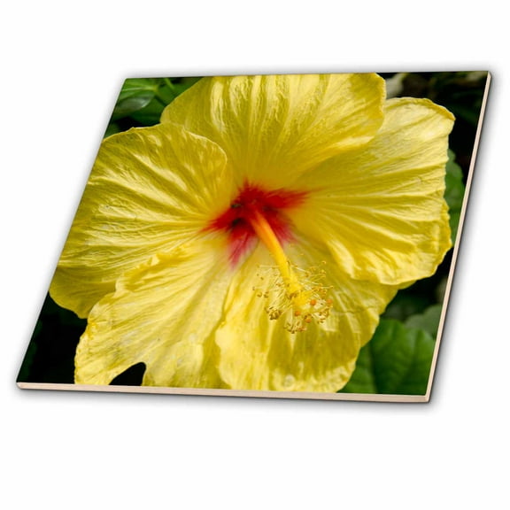 3dRose, Alabama, Mobile.Bellingrath Gardens and Home. Yellow hibiscus., 6 Inch Ceramic Tile