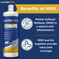 thumbnail image 5 of LubriSyn HA Plus with MSM for Equine  Pet 32 oz, 5 of 10
