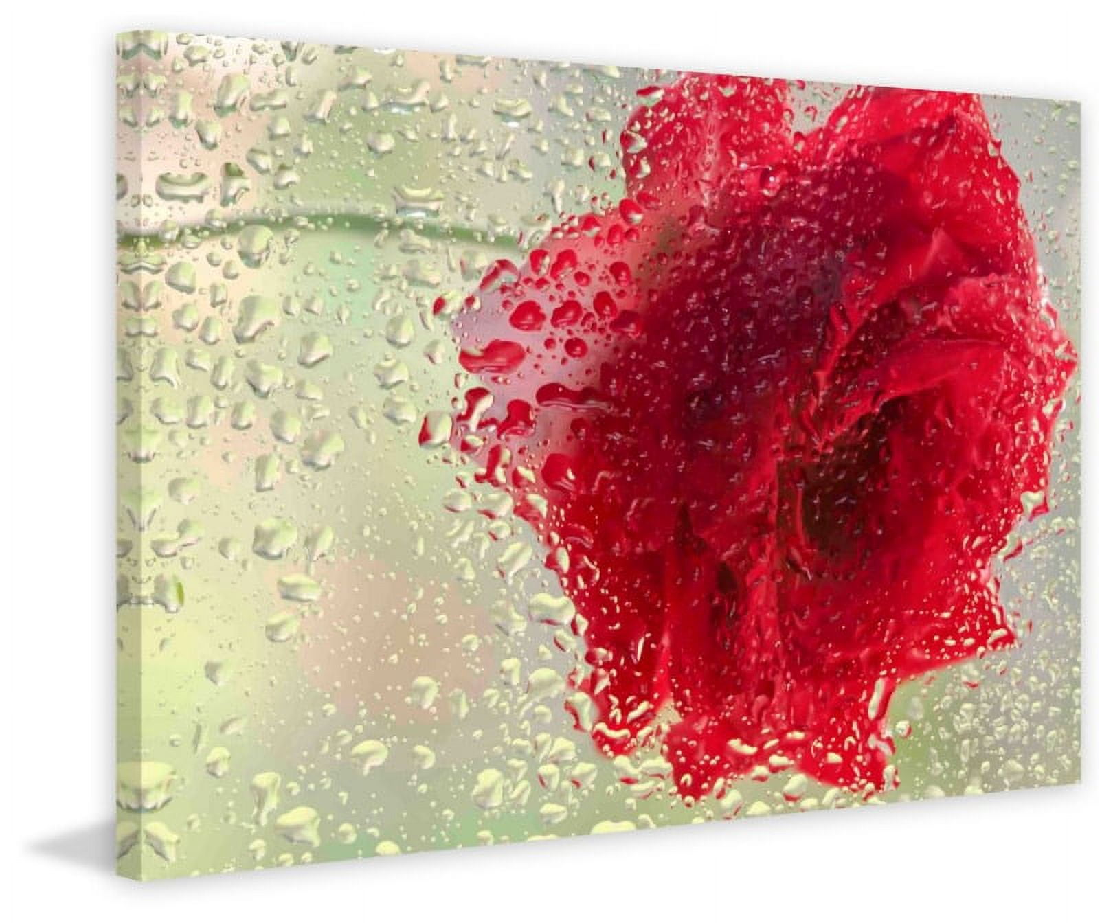 Marmont Hill "Red Rose in a Light Rain" Painting Print on Canvas