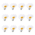 thumbnail image 5 of LABSERRON 12Pcs Small Hair Barrettes Daisy Shape for Women Girls Wedding Party Accessories, 5 of 7