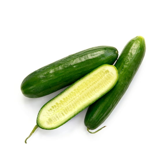 English Cucumber - Telegraph Improved - 20 Seeds