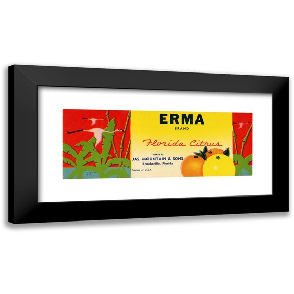 Anonymous 14x8 Black Modern Framed Museum Art Print Titled - Erma Brand Florida Citrus Label (1930-1950)