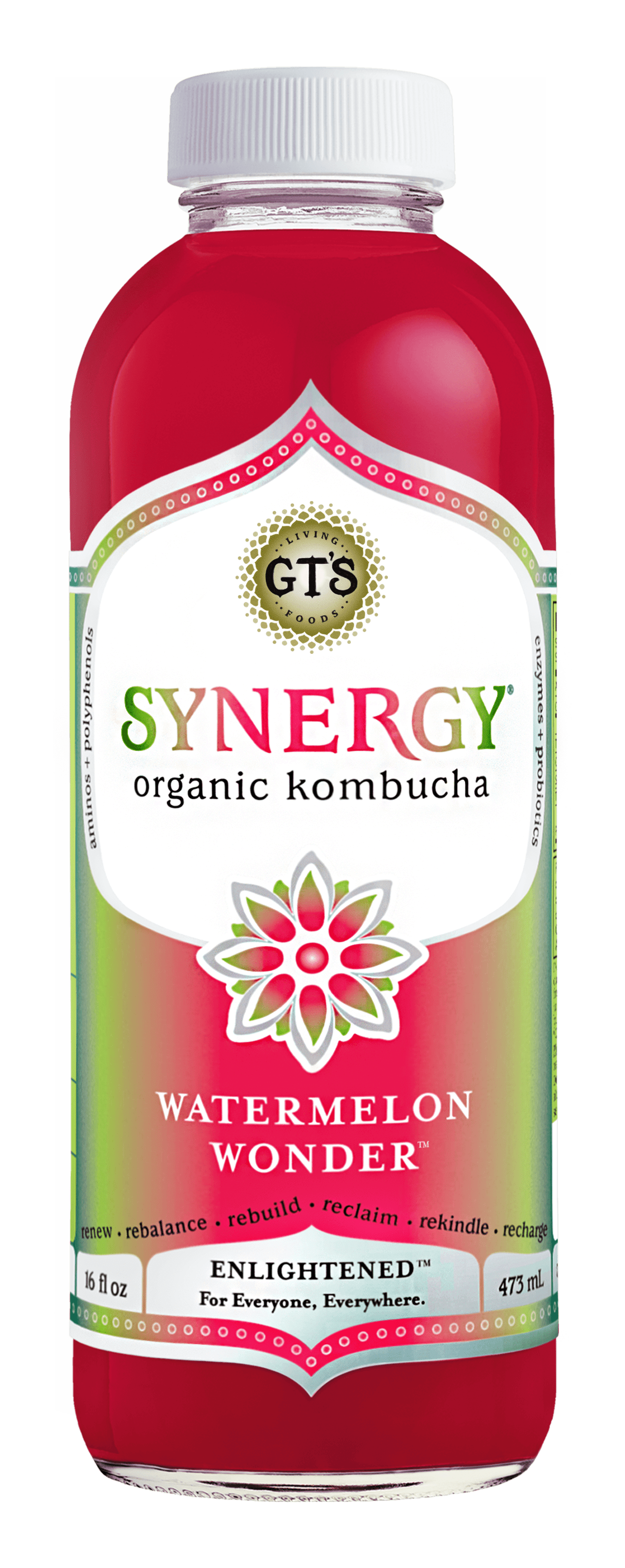 green synergy kombucha