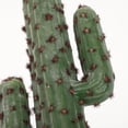 thumbnail image 3 of SWETRACE Adorno De Cactus Falso Sin Maceta Con Apariencia Para De O Jardín, 3 of 8