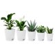 thumbnail image 1 of 5 Pack 5 Inch Self Watering Pots for Indoor Plants, Flower Pots Planter with Drainage Holes and Wick Rope, 1 of 5