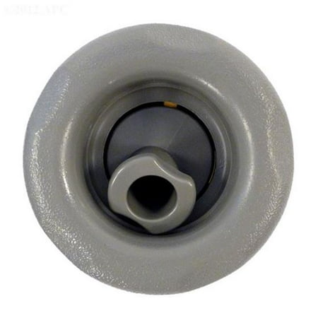

Waterway WW2298017B 5-Scallop Roto Thread In Gunite Jet Internals Gray