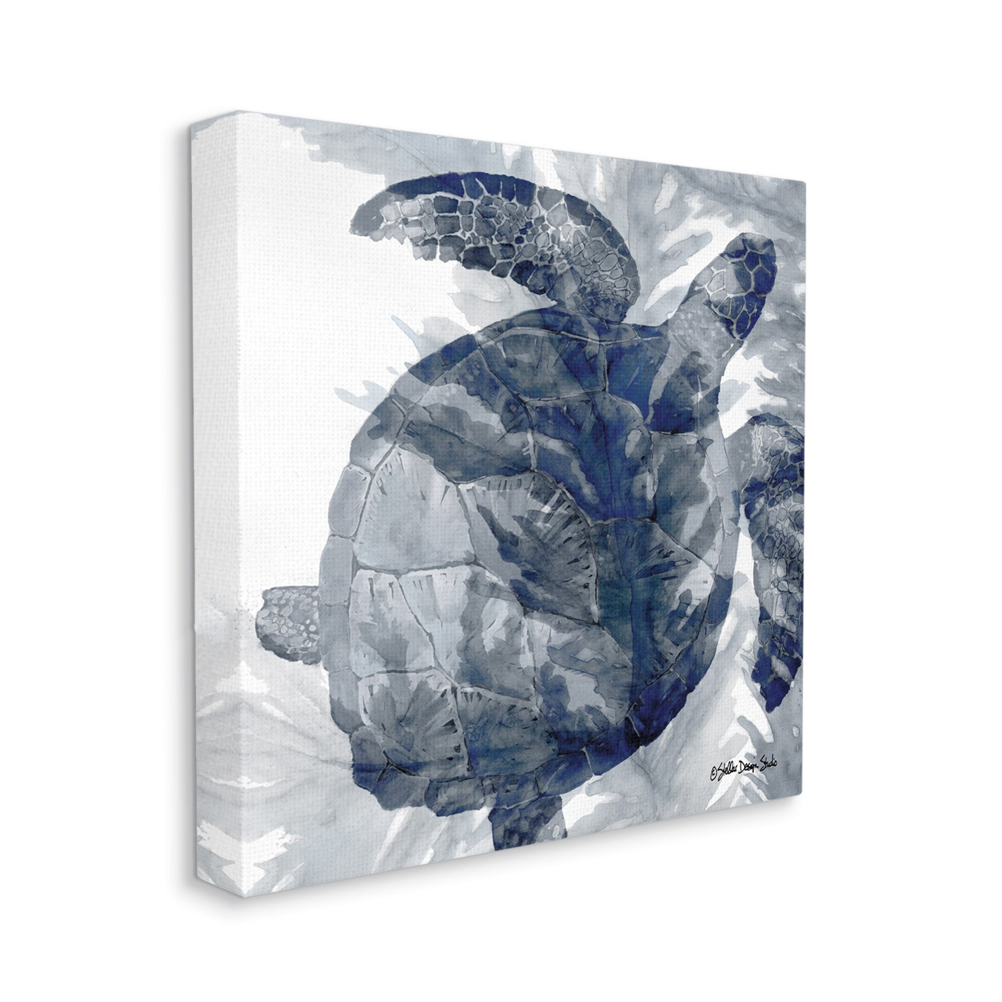 Stupell Industries Lingering Sea Turtle Overlapping Seaweed Reptile Watercolor Painting,17 x 17, Design by Stellar Design Studio