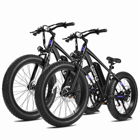 Racer Plus Adult Electric Bicycle, Electric Bike for Adults Peak 1000W Motor Up to 20MPH, 4.0 Fat Tire Electric Mountain Bike with 48V 13AH 7 Speed (Black)*2