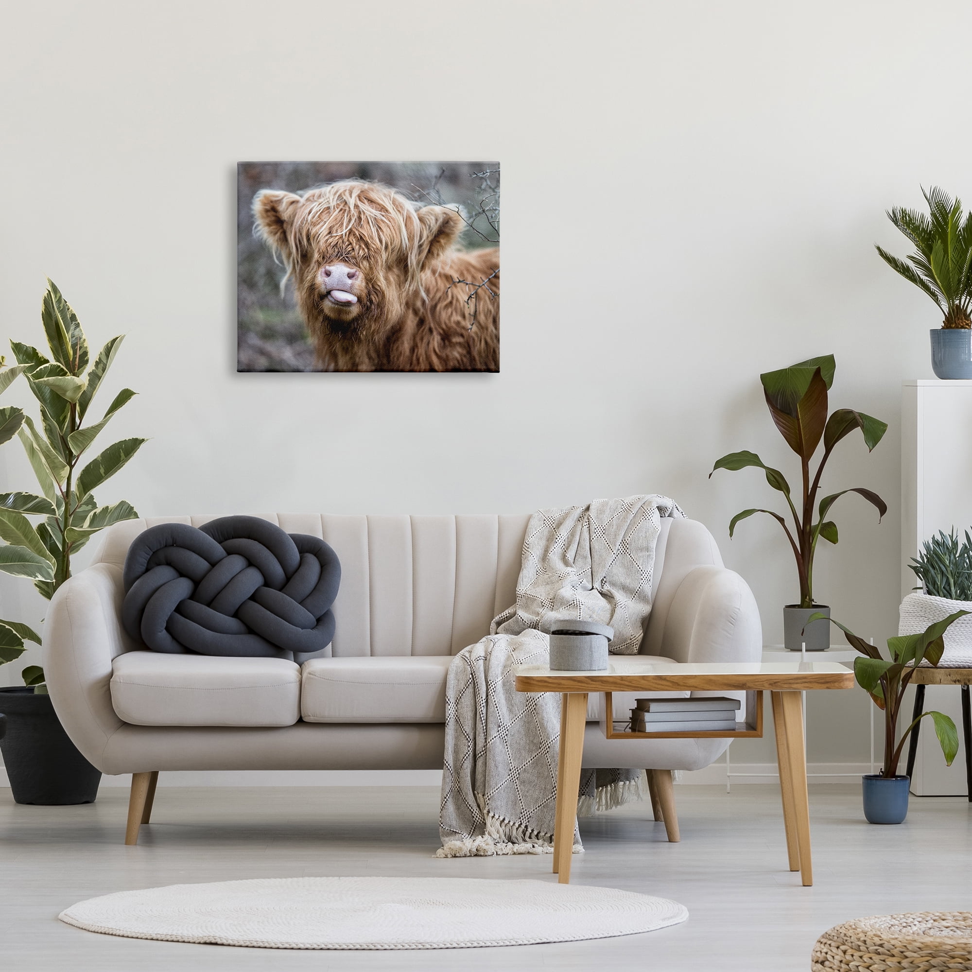 Stupell Industries Baby Highland Calf Cattle Licking Lips Country Farmland Photograph Gallery Wrapped Canvas Print Wall Art, Design by James Dobson