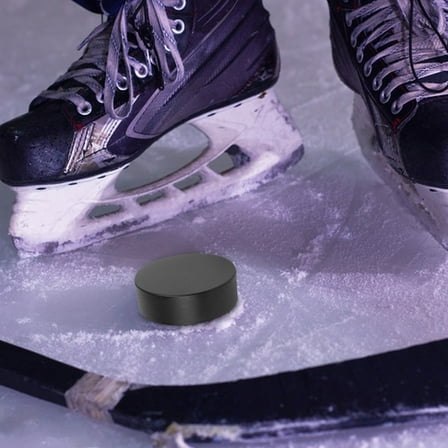 FENGGUIQU Black Synthetic Ice Tiles Set for Hockey Training, PU Material, 1 Set for Ice Hockey Practice and Skill Development