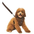 thumbnail image 2 of Chewbacca Pet Star Wars Movie Male Halloween Costume Harness With Leash-L, 2 of 5