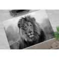 thumbnail image 2 of Lion Rugs, Wild Lion Rugs, Wildlife Rugs, Animal Rugs, Salon Rug, Round Rug, Bedroom Rug, Cool Rug, Anti-Slip Carpet, Classic Rug, 5.9'x9.2' - 180x280 cm, 2 of 8