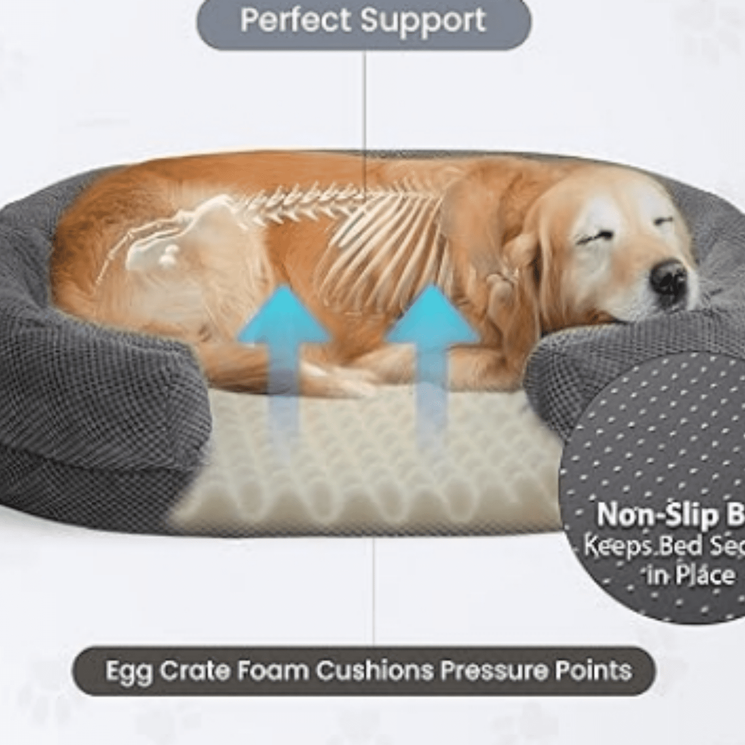 Orthopedic Dog Bed for Medium Dogs, Oval Dog Couch Bed with Sides Soft Calming Sleeping Puppy Bed Durable Pet Cuddler with Anti-Slip Bottom, M