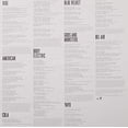 thumbnail image 3 of Lana Del Rey Paradise Vinyl, 3 of 4