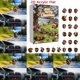 thumbnail image 3 of Contador de 24 días: sorpresa navideña con temática 2D y animales, con un adorno diario perfecto para niños y adultos, 3 of 8