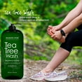 thumbnail image 5 of Majestic Pure Tea Tree Body Wash - Formulated to Combat Dry, Flaky Skin - Soothes, Nourishes and Moisturizes Irritated, Chapped, Problem Skin Areas - (Packaging may Vary) -16 fl. oz, 5 of 8