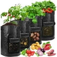 thumbnail image 1 of 4 Pack Potato Planting Bags, 10 Gallon Potato Planting Bags with Handles, Clear Window Potato Planting Bags, 1 of 5