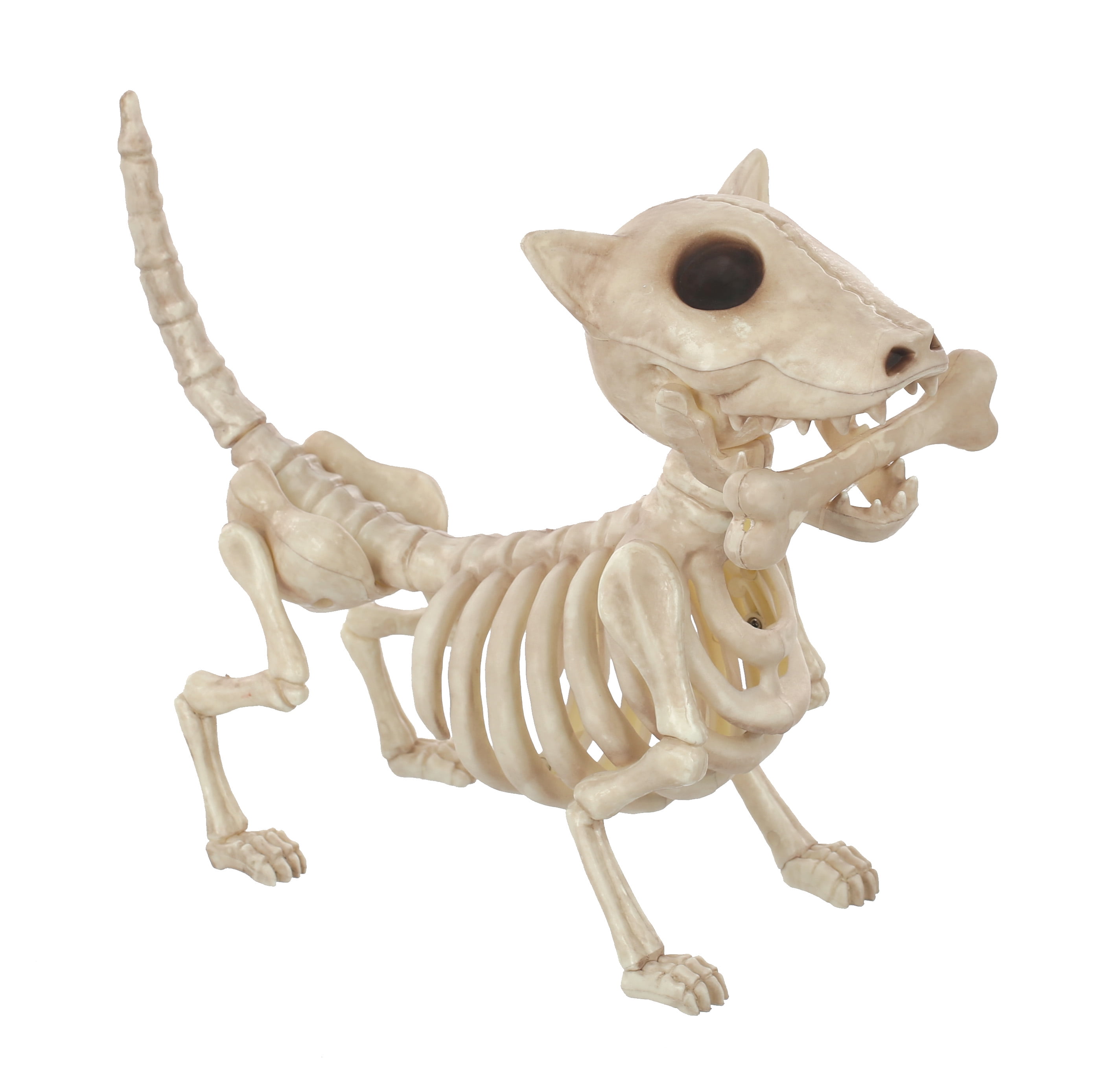 Dog Skeleton Halloween Decoration
 Way to Celebrate Skeleton Dog Digger Bonez Crazy Bonez ficial