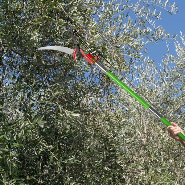 24ft Manual Pole Saw, Lightweight Tree Trimmers Long Handle Pruner Set, Sharp Steel Blade and Scissors Pole Saw for Trimming Palm, Pear Tree, Fir Tree, Other High Trees and Shrubs