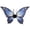 Z2-B, variant on Linnome Halloween Realistic Wings Prop Masquerade Dress Up Accessory for Holiday Themed Party Outfit Matching Decor