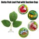 thumbnail image 2 of 4uds Betta Pez Hoja Almohadilla con Ventosa, Verde, 2.24x1.61, 2 of 7