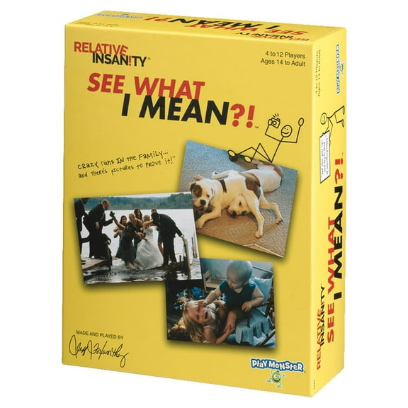 Relative Insanity: See What I Mean?! Party Game