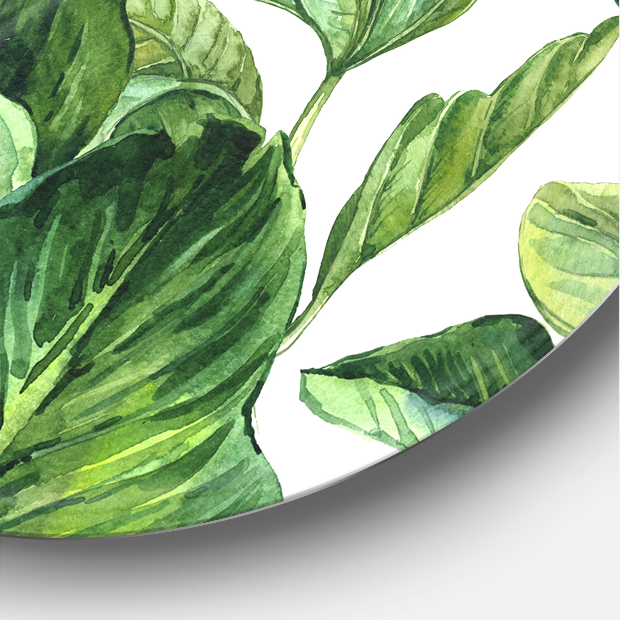 Designart 'Foliage Of Tropical Leaves On White' Tropical Circle Metal Wall Art 29x29 - Disc of 29