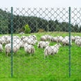 thumbnail image 4 of VEVOR 6ft Heavy-Duty Metal Fence Posts, 10-Pack Green T-Posts for Garden & Farm Fencing, 4 of 12