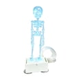 thumbnail image 2 of Glow In The Dark Dancing Skeleton Aquarium Ornament Halloween Decor 5.90IN Air Driven Movable Joint Fish Tank Decor for Halloween Seasonal Aquatic Theme Display, 2 of 7