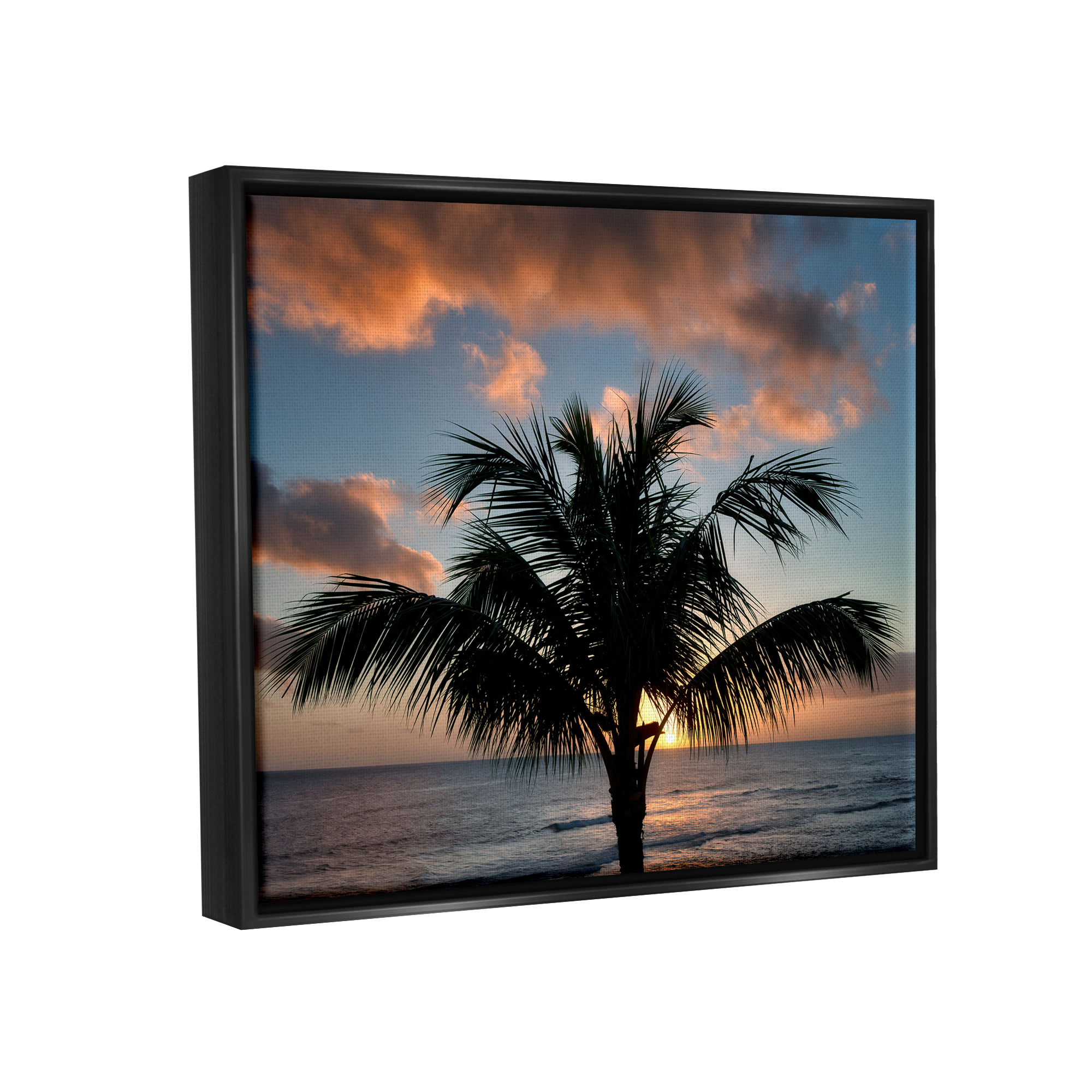 Stupell Industries Tropical Palm Photography Nature Photography Black Floater Framed Art Print Wall Art, 21 x 17