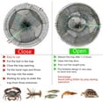 thumbnail image 3 of Drasry Large Crab Traps Three Entrances 2Pcs Portable Collapsible Fishing Bait Trap Cage Cast Net 17.7"x7.9", 3 of 6