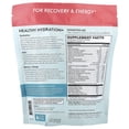 thumbnail image 4 of Terra Origin Healthy Hydration+, Lemonberry Wave, 30 On-The-Go Packets, 0.22 oz (6.2 g) Each, 4 of 4