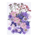 thumbnail image 1 of Toystoory Flor seca natural Artística Flores prensadas Belleza Joyas Decoraciones Postales decorativas Regalos para invitaciones de boda de resina Type3 NO3 Toystoory HA010799-03, 1 of 6